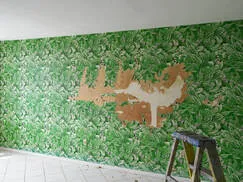 Wallpaper removal in Salt Lake City, UT