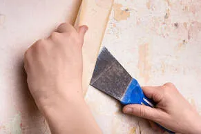 Wallpaper removal